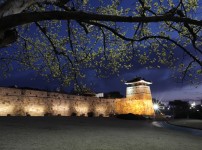전라북도 전주 - 한복 장인, 강00 님