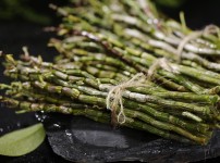 경상북도 문경 - 약초꾼이었던 노인, 이00…